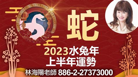 2023 水兔|2023年为何有“水兔”和“黑兔”之说？“超生”的兔子有何寓意？